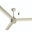 Luker Size Zero Crown Ceiling fans With Remote 5Star - Ivory Ivory Gold